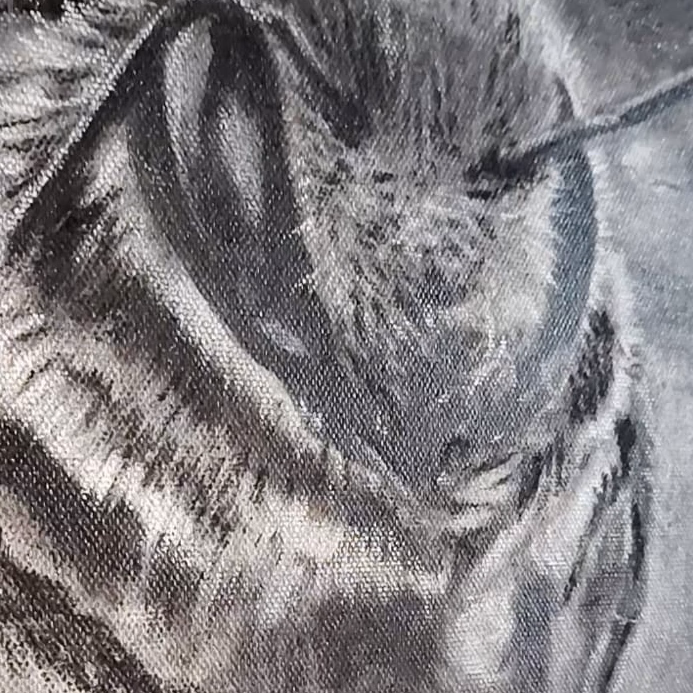 Raw willow charcoal texture, pores, and atmospheric carbon grain